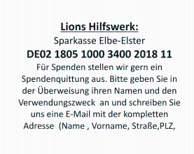 Lions Logo